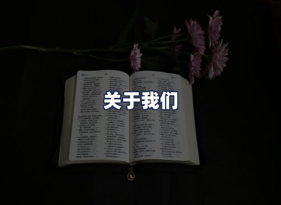 关于我们